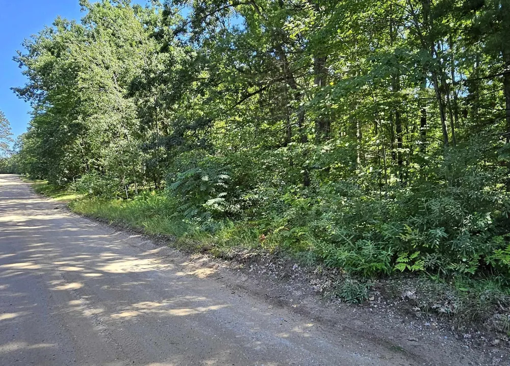 Merritt Street Fife Lake Township, MI 49633