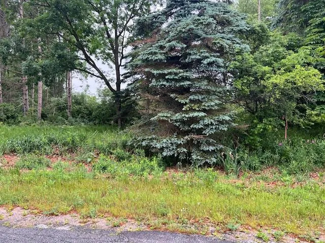 2714 E Hawley Road Eden Township, MI 49405