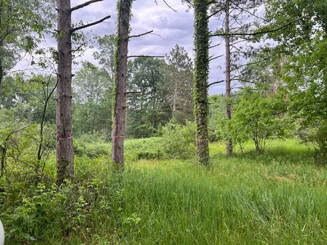 2714 E Hawley Road Eden Township, MI 49405