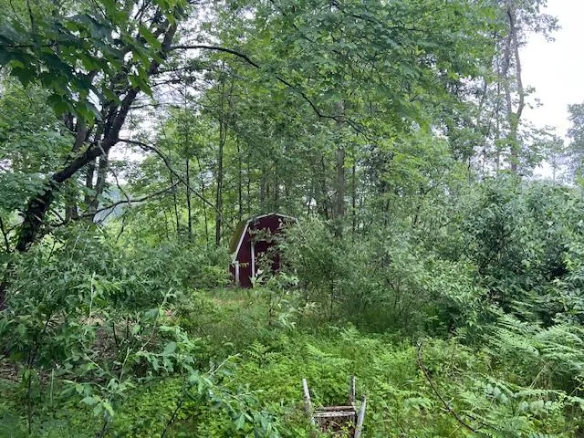 2714 E Hawley Road Eden Township, MI 49405