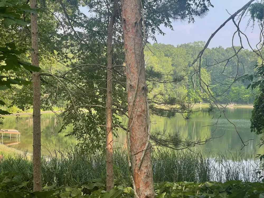 8050 Wilderness Trail NE Ada Township, MI 49301