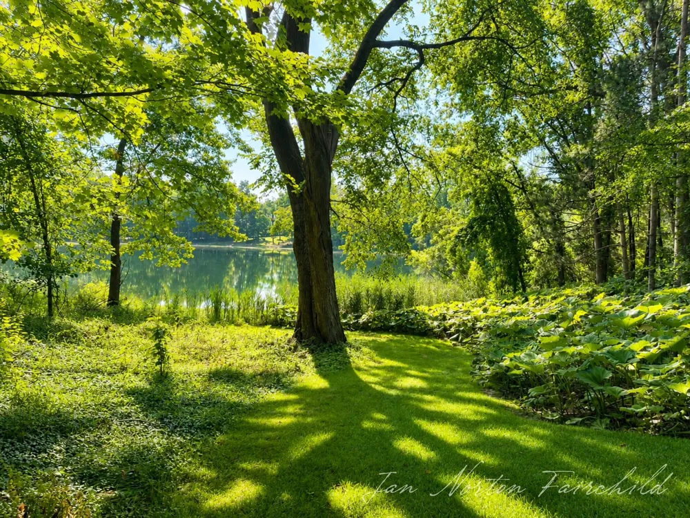 8050 Wilderness Trail NE Ada Township, MI 49301