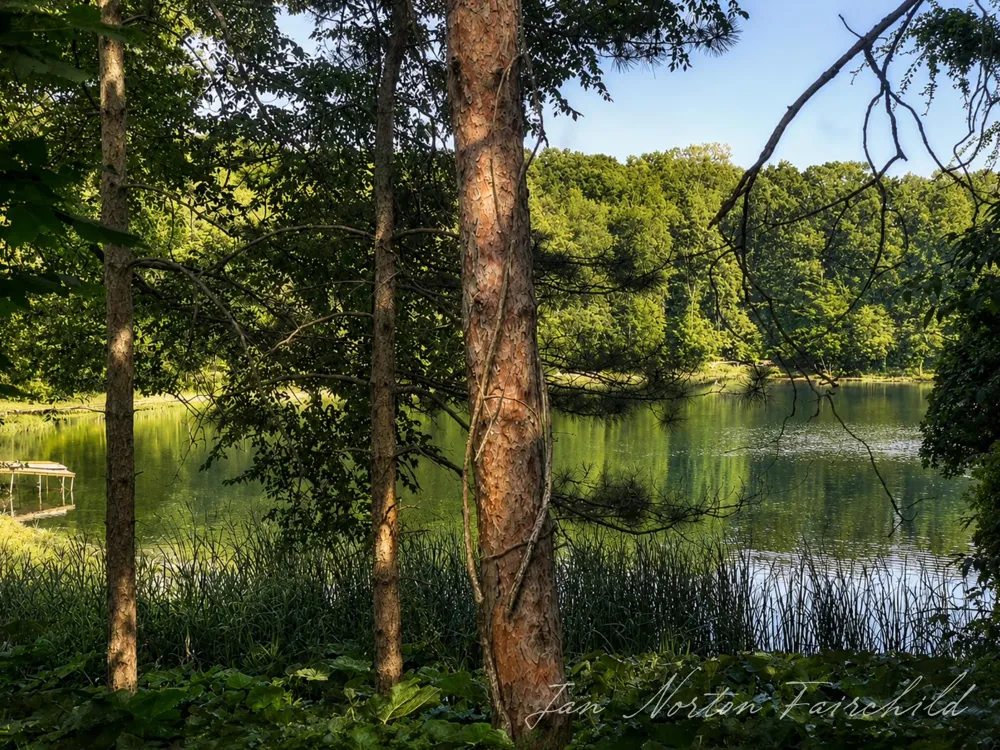 8050 Wilderness Trail NE Ada Township, MI 49301