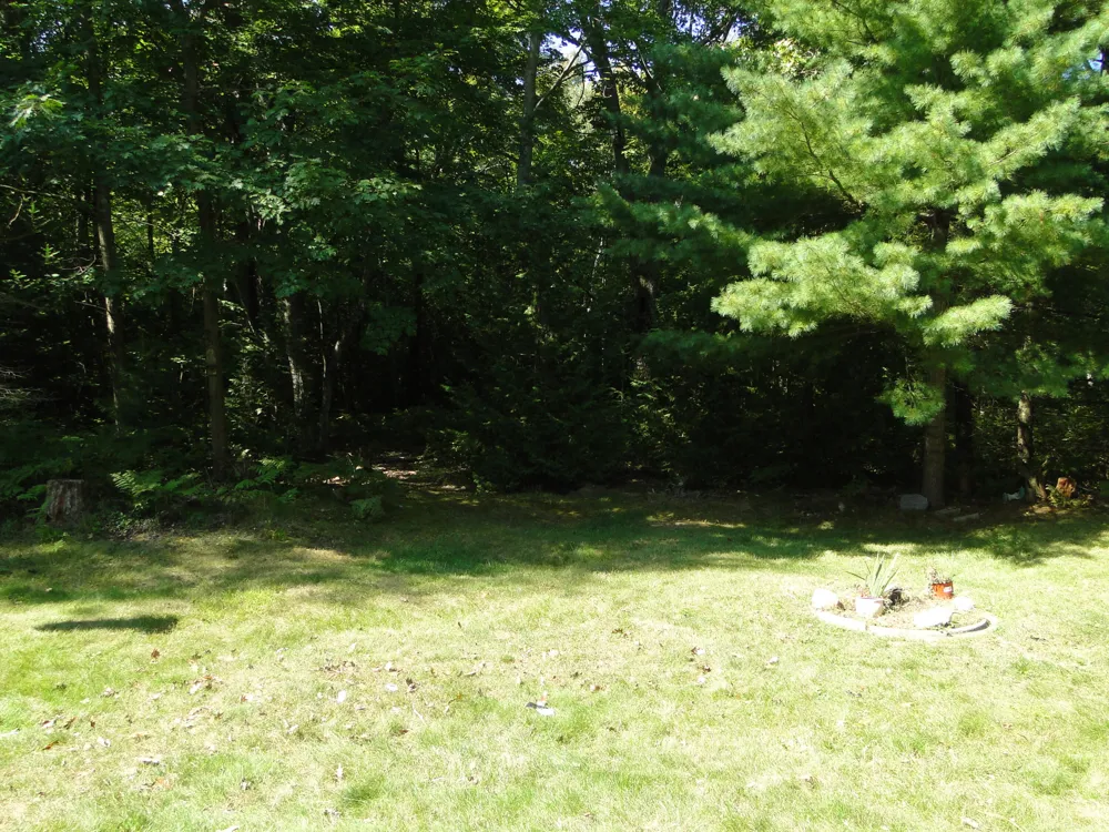 4873 Birchwood Trail Oscoda Charter Township, MI 48750
