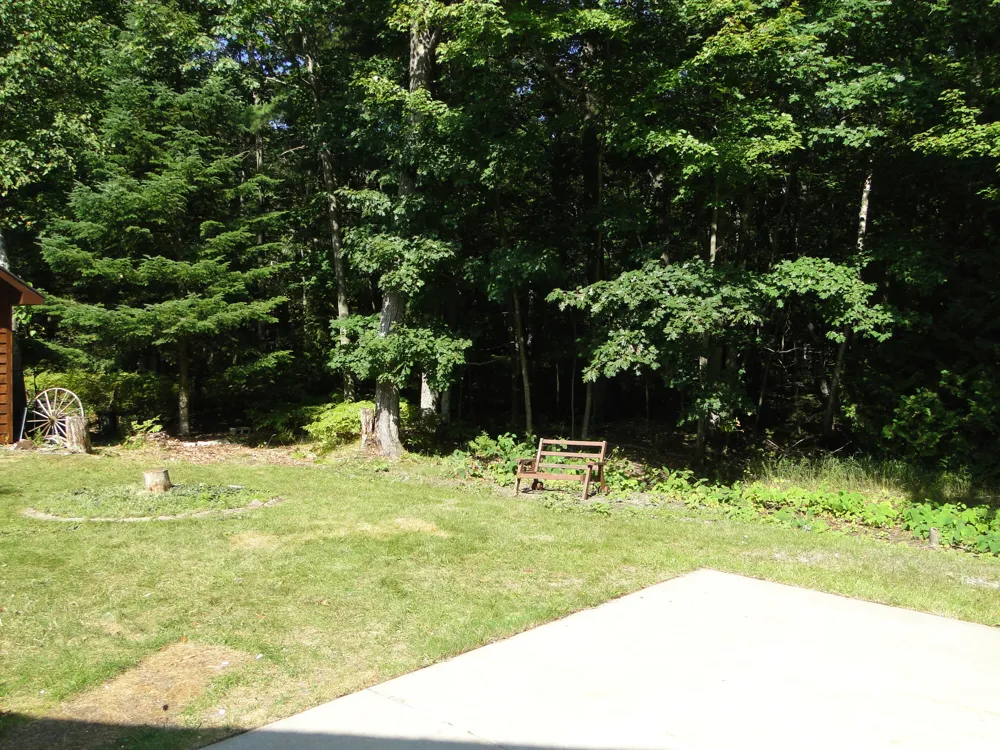 4873 Birchwood Trail Oscoda Charter Township, MI 48750