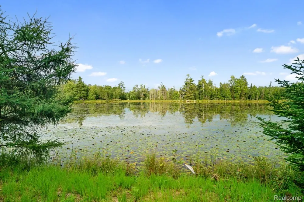 9720 E KELLYVILLE ROAD Briley Township, MI 49709