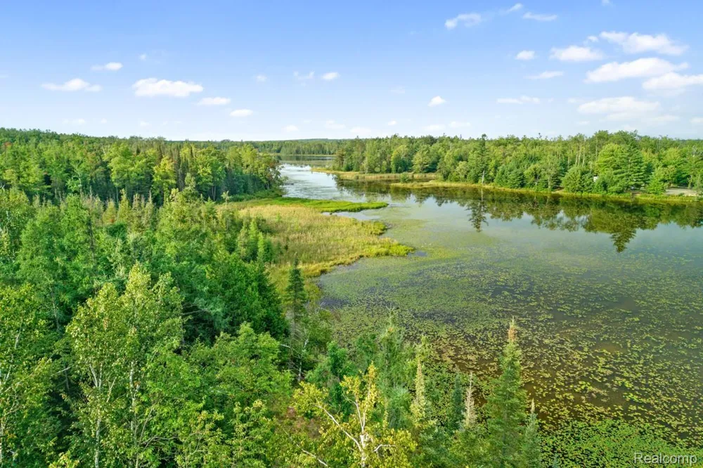 9720 E KELLYVILLE ROAD Briley Township, MI 49709