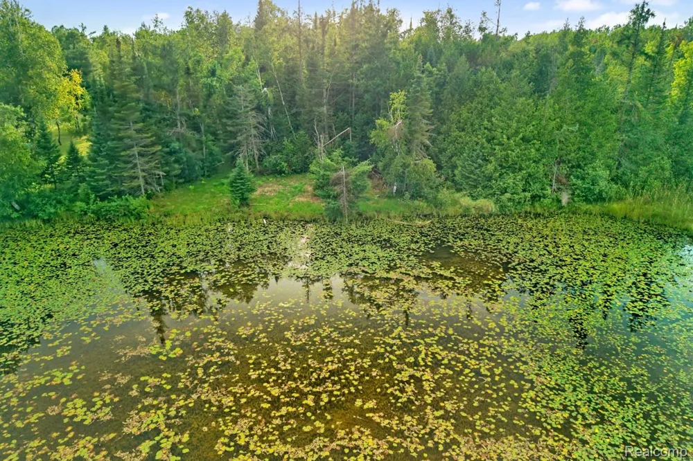 9720 E KELLYVILLE ROAD Briley Township, MI 49709
