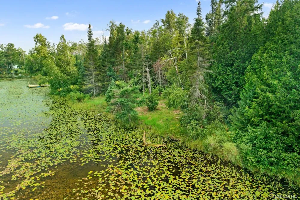 9720 E KELLYVILLE ROAD Briley Township, MI 49709