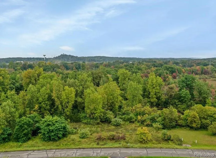 6095 Whispering Meadows Drive White Lake Charter Township, MI 48383