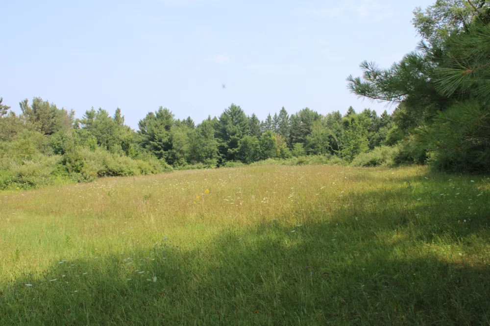 2838 W Trask Lake Rd Hawes Township, MI 48705