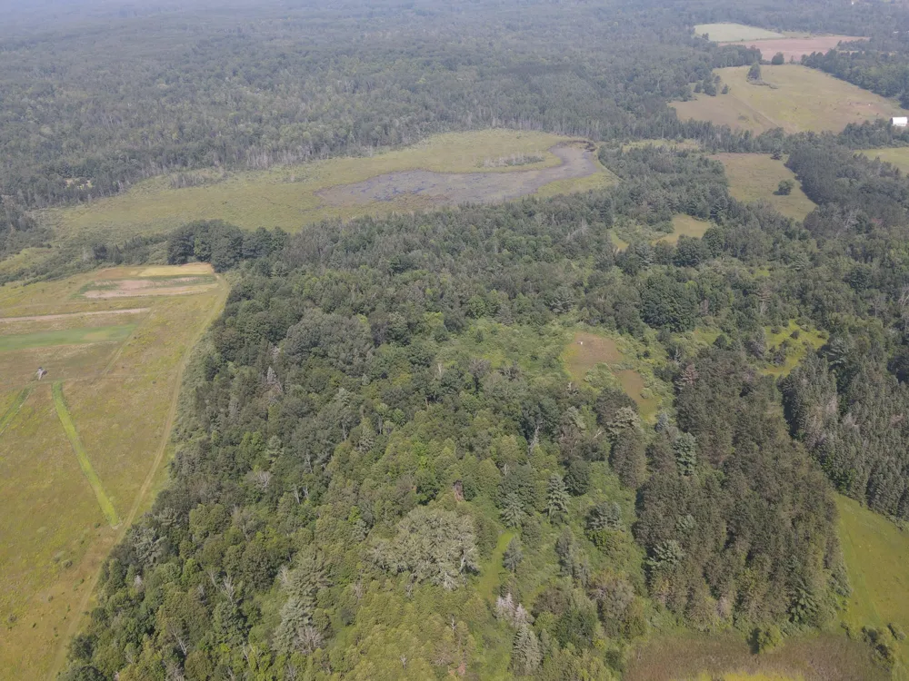 2838 W Trask Lake Rd Hawes Township, MI 48705