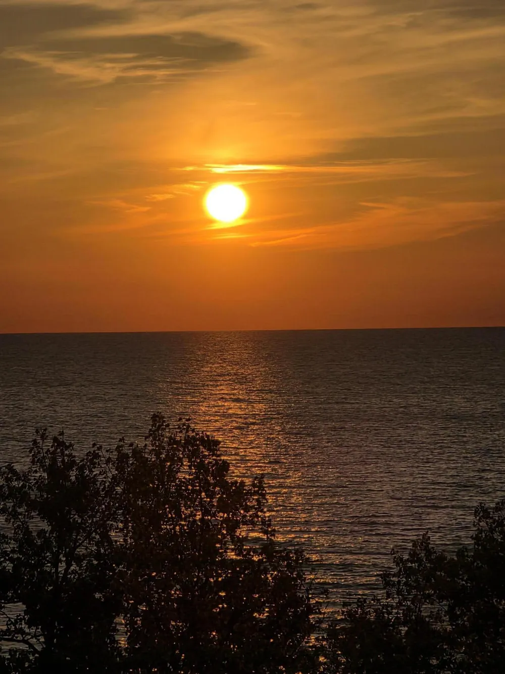 1802 Lakeshore Drive #6 St Joseph City, MI 49085