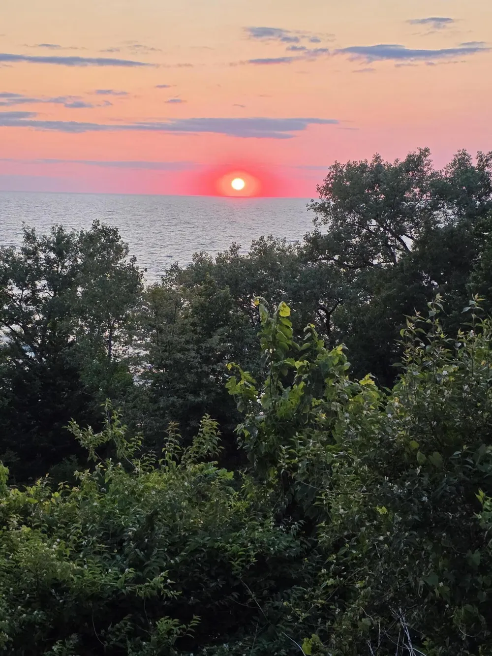 1802 Lakeshore Drive #6 St Joseph City, MI 49085