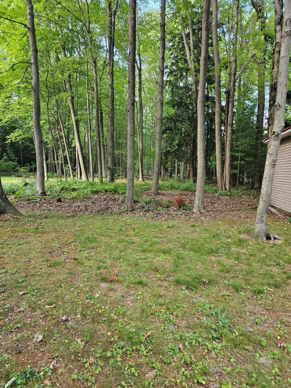 32 Deer Run Whitney Township, MI 48703