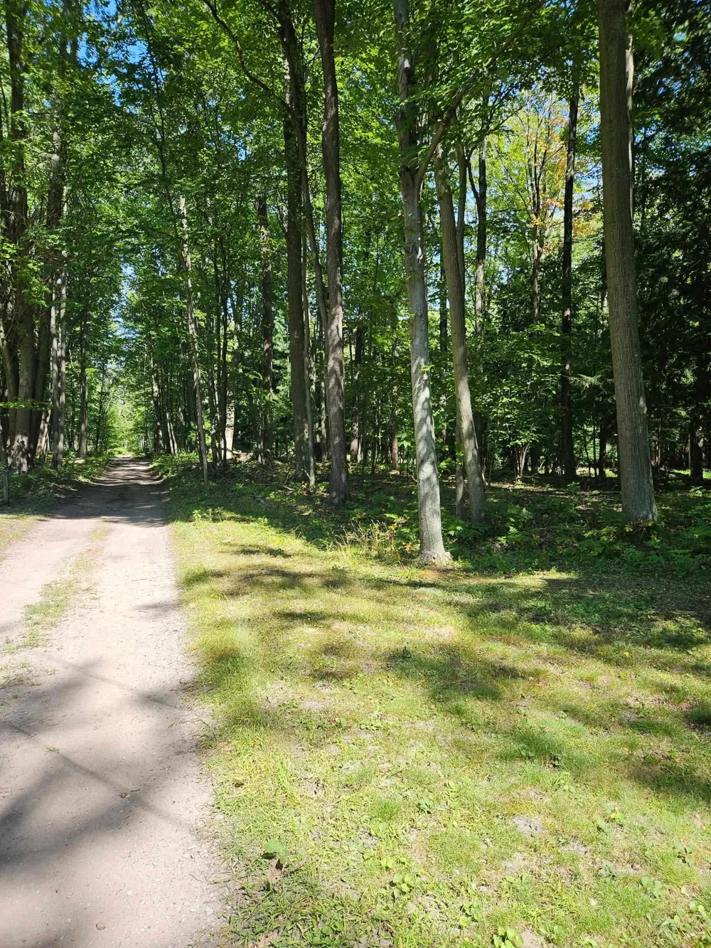 32 Deer Run Whitney Township, MI 48703
