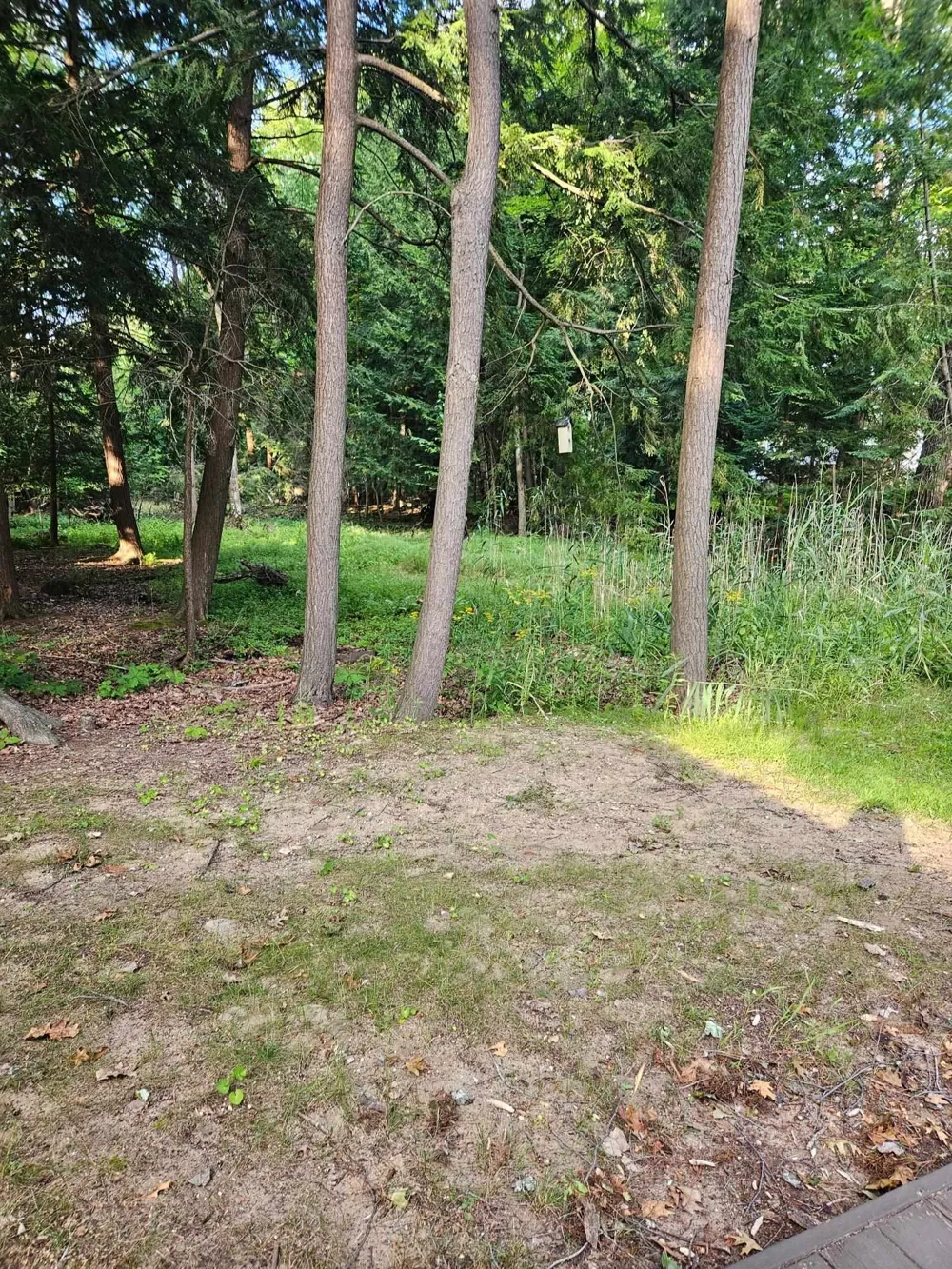 32 Deer Run Whitney Township, MI 48703
