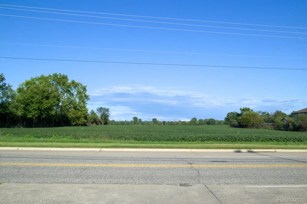 Clio Mt Morris City, MI 48458