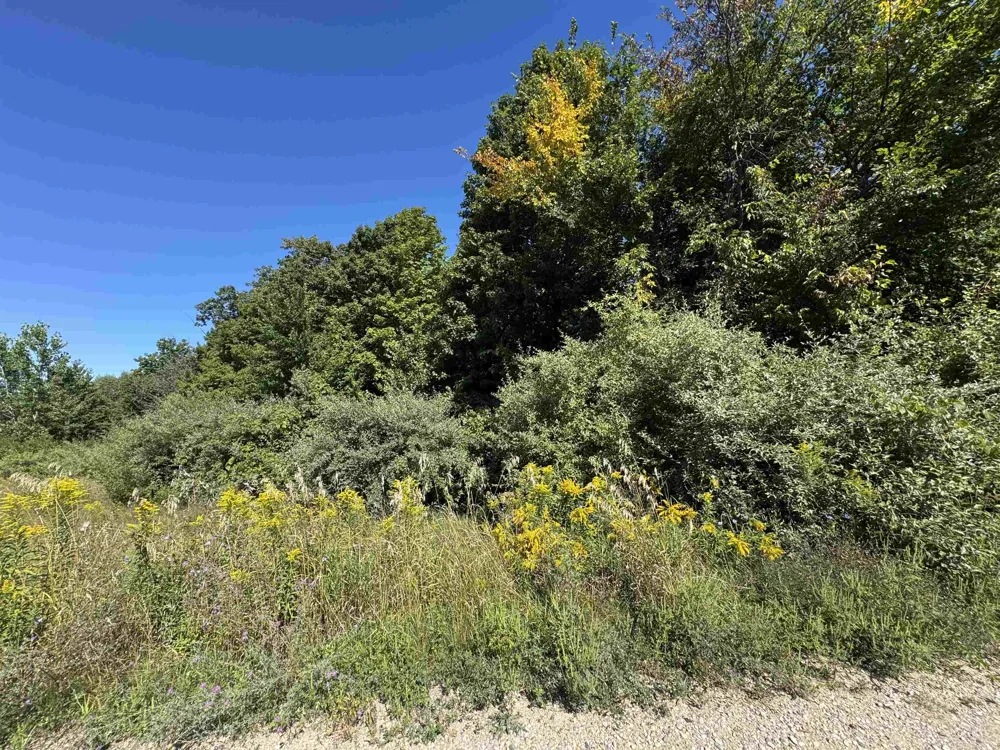 7765 Turnberry Circle Acme Township, MI 49690