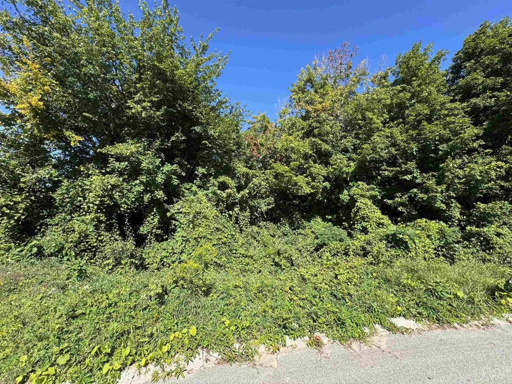 7765 Turnberry Circle Acme Township, MI 49690