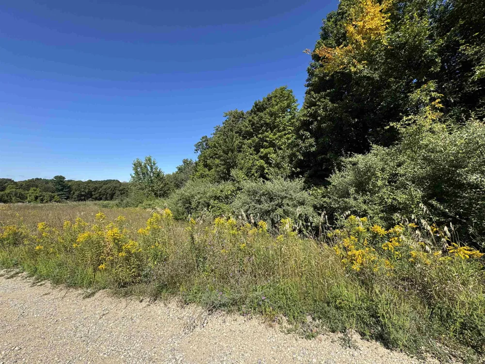 7765 Turnberry Circle Acme Township, MI 49690