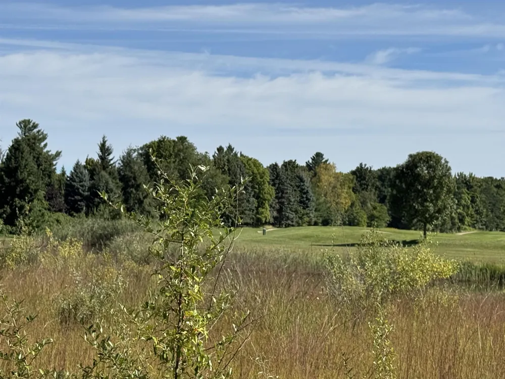 4829 Prestwick Court Acme Township, MI 49690