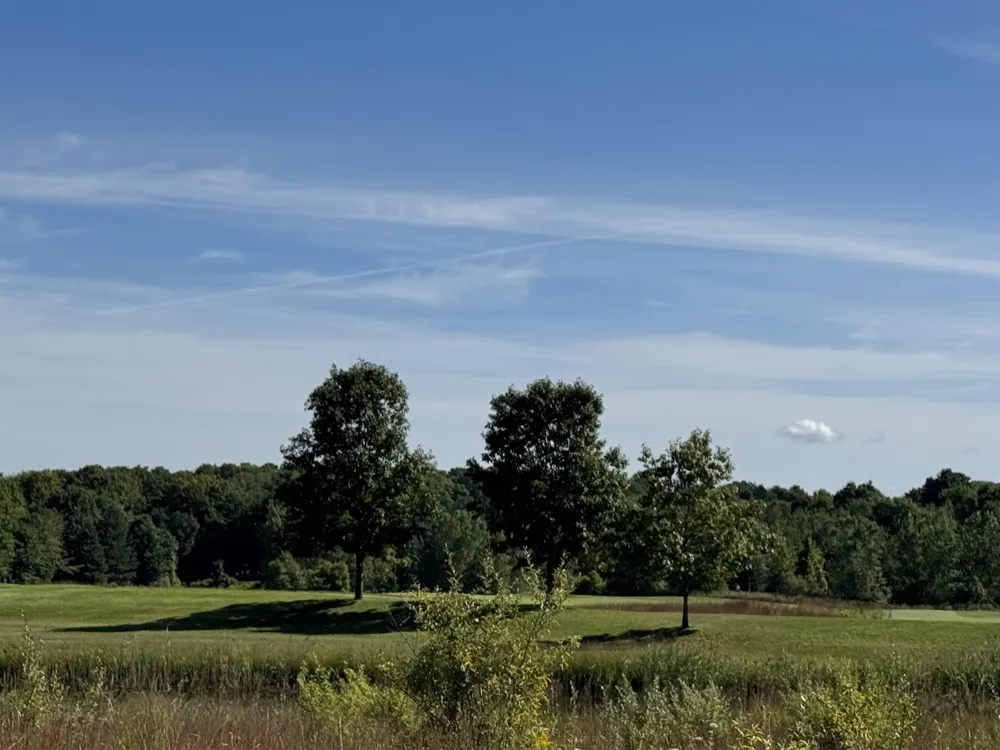4829 Prestwick Court Acme Township, MI 49690