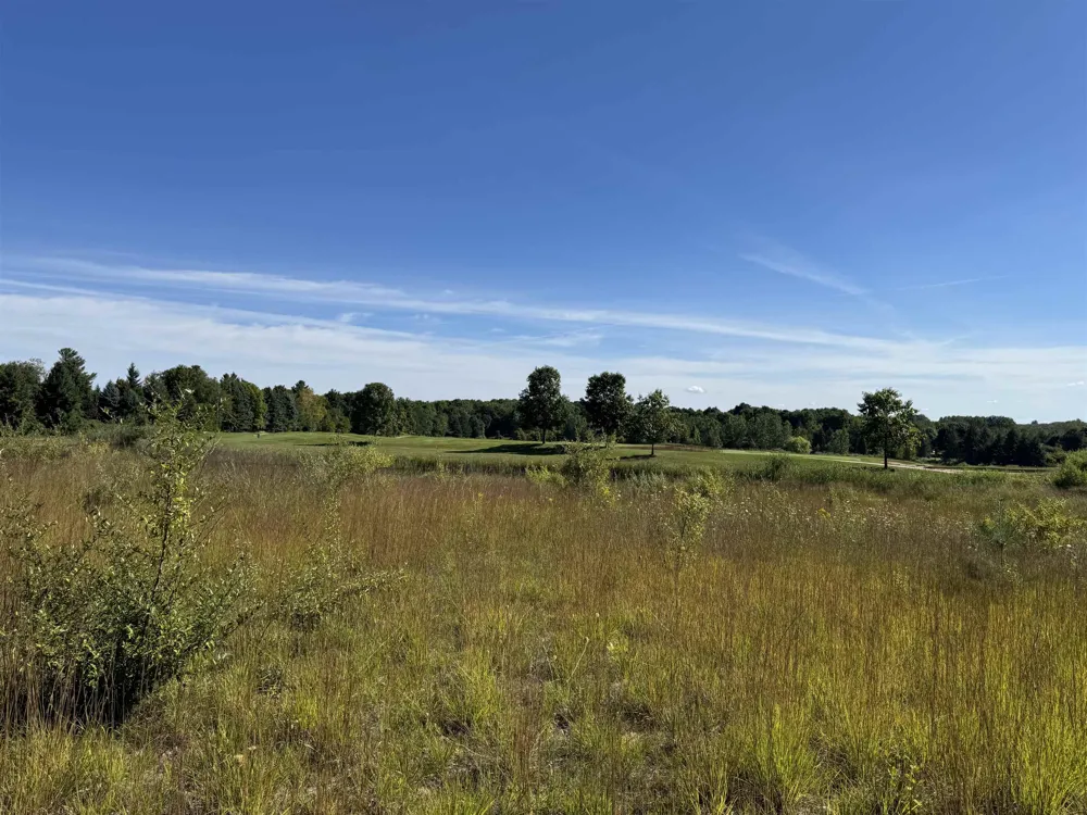 4829 Prestwick Court Acme Township, MI 49690