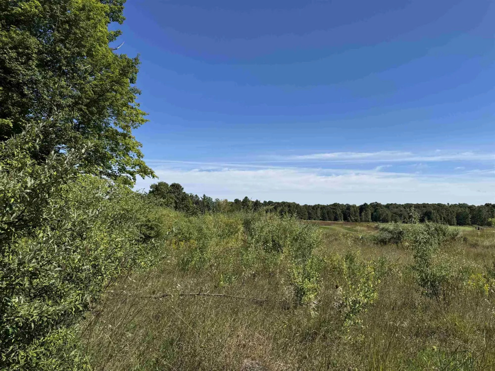 4829 Prestwick Court Acme Township, MI 49690
