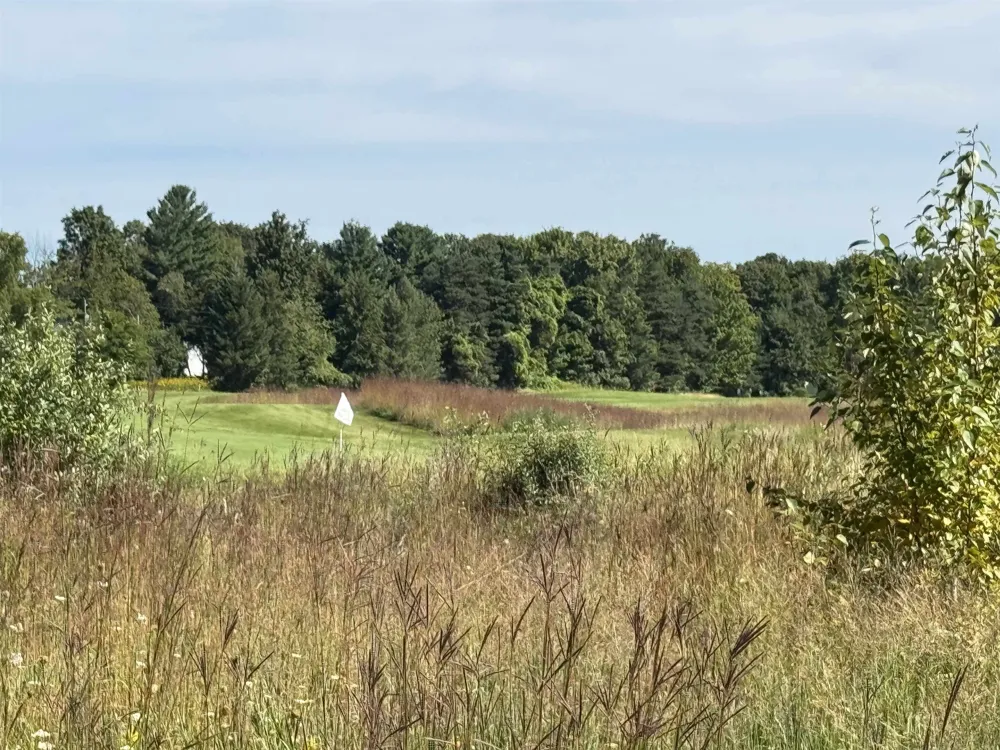 4829 Prestwick Court Acme Township, MI 49690