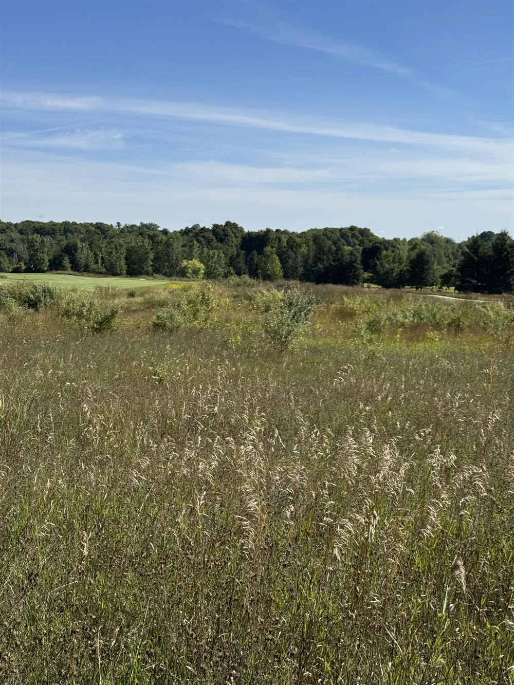4867 Prestwick Court Acme Township, MI 49690