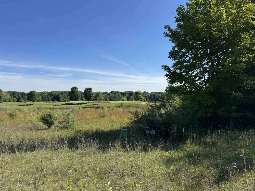 4867 Prestwick Court Acme Township, MI 49690