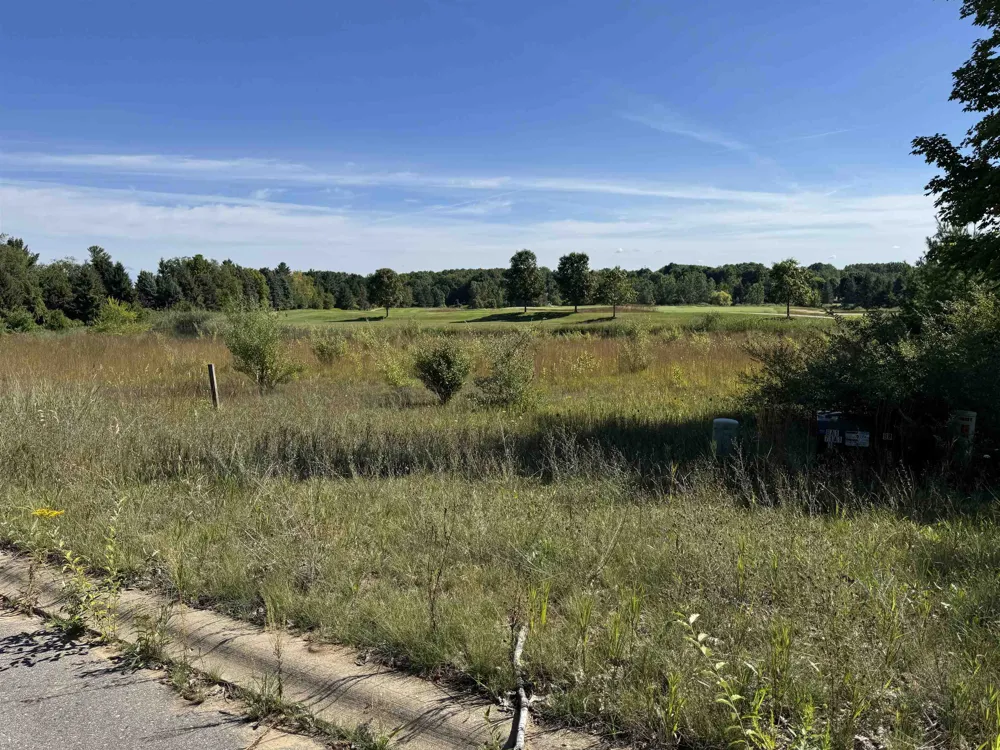 4867 Prestwick Court Acme Township, MI 49690