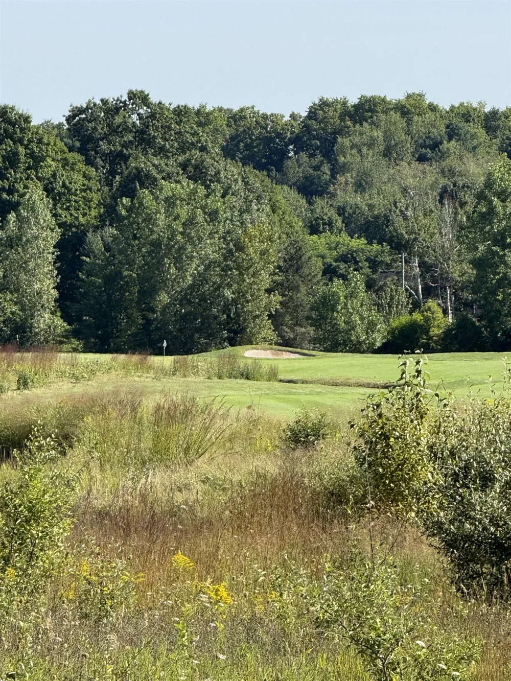 4867 Prestwick Court Acme Township, MI 49690