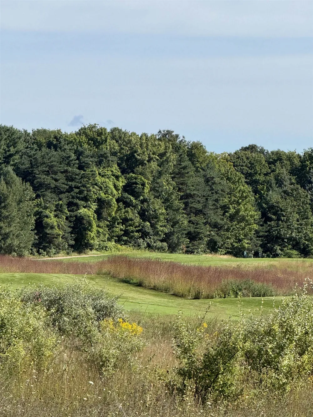 4867 Prestwick Court Acme Township, MI 49690