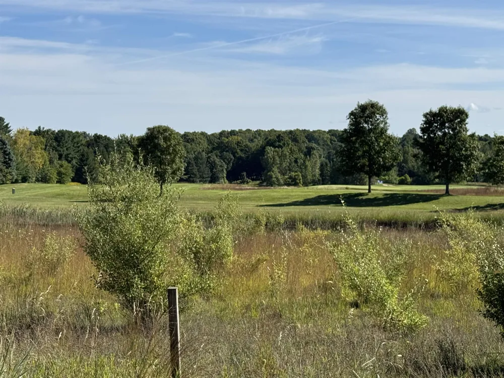 4843 Prestwick Court Acme Township, MI 49690