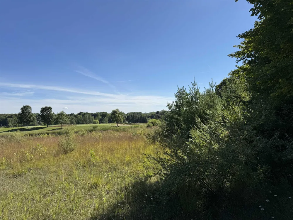 4843 Prestwick Court Acme Township, MI 49690