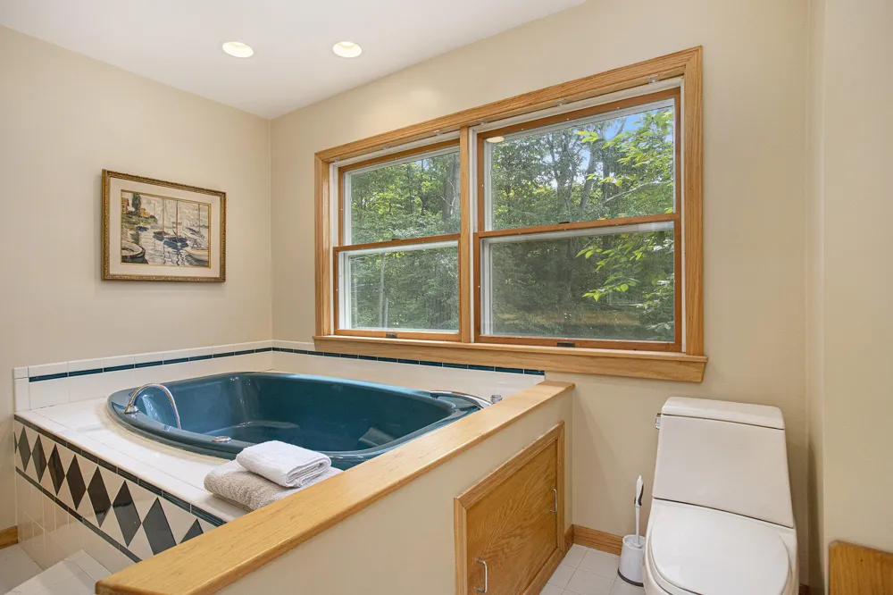 59688 Summit Street Fabius Township, MI 49093