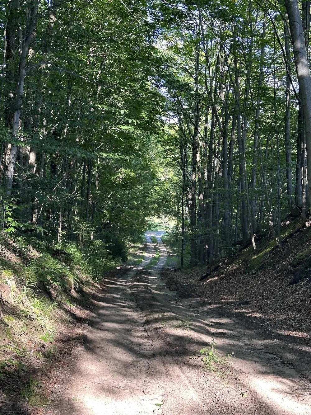 Hansel Strause E Custer Township, MI 49615