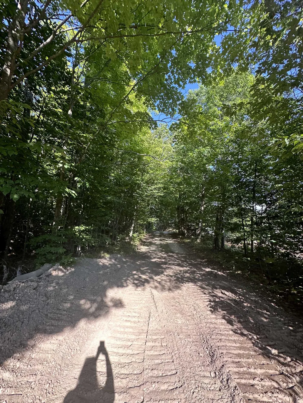 Hansel Strause E Custer Township, MI 49615