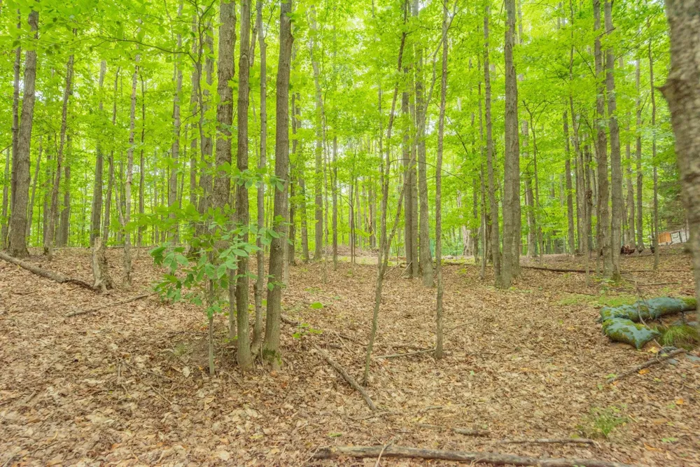 Hansel Strause E Custer Township, MI 49615