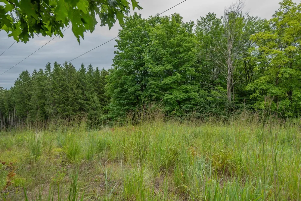 Hansel Strause E Custer Township, MI 49615