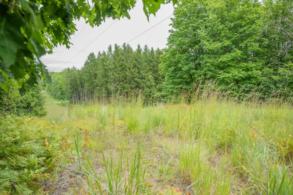 Hansel Strause E Custer Township, MI 49615
