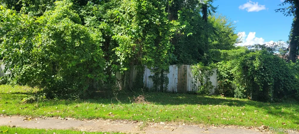215 2nd Romulus City, MI 48174