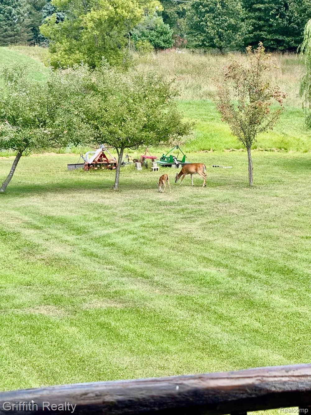 5748 W Coon Lake Road Marion Township, MI 48843