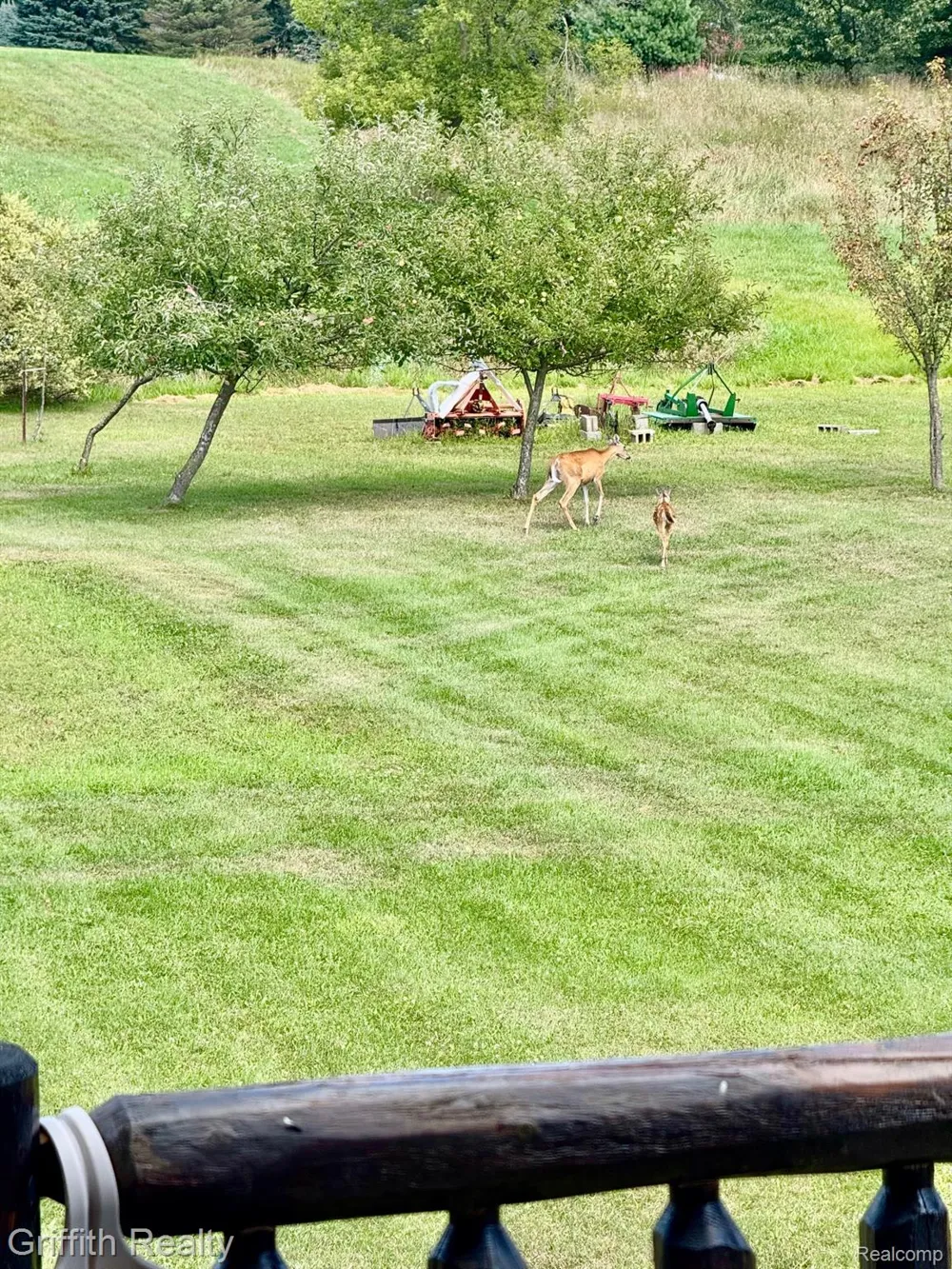 5748 W Coon Lake Road Marion Township, MI 48843