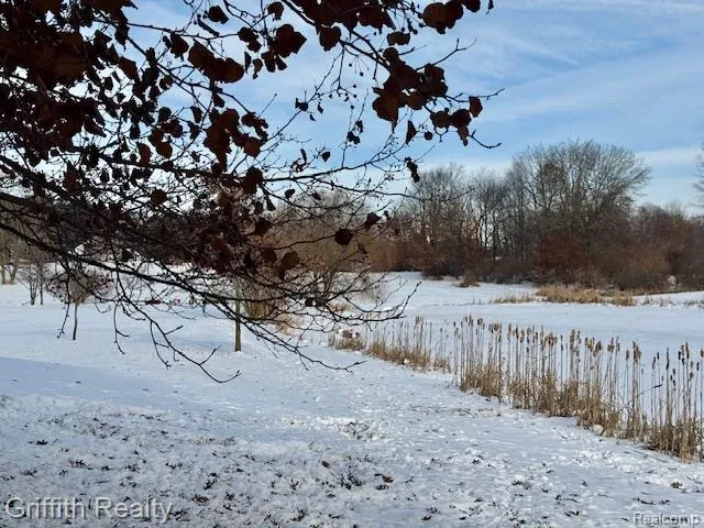 5748 W Coon Lake Road Marion Township, MI 48843