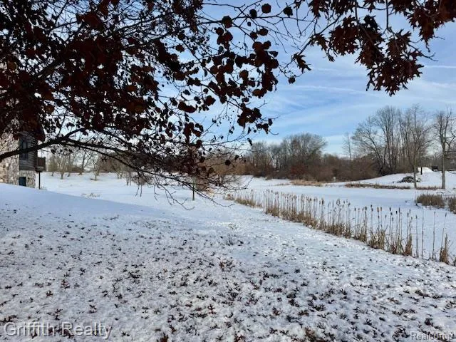 5748 W Coon Lake Road Marion Township, MI 48843