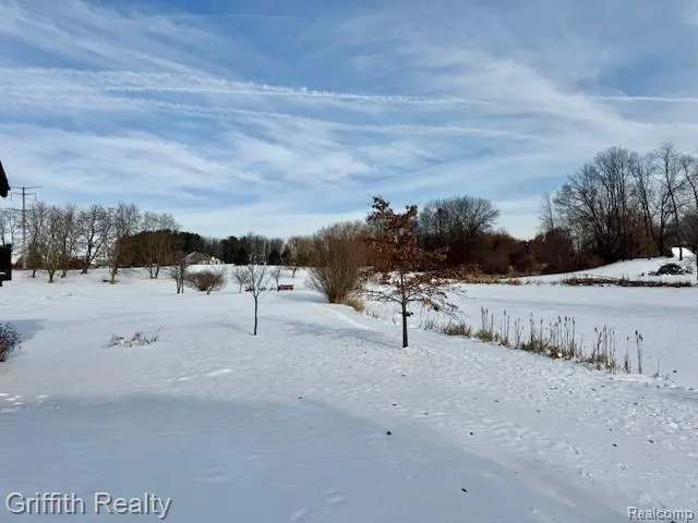 5748 W Coon Lake Road Marion Township, MI 48843