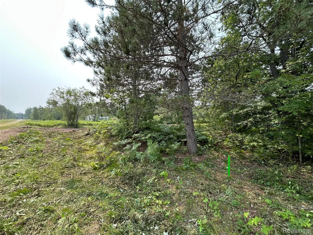 6658 Brookfield Court Mancelona Township, MI 49730